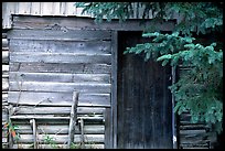 Cabin detail. Hope,  Alaska, USA (color)