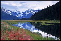 Chugatch Mountains reflected in pond near Portage. Alaska, USA