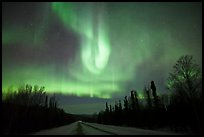 Aurora curtains above road. Alaska, USA ( color)