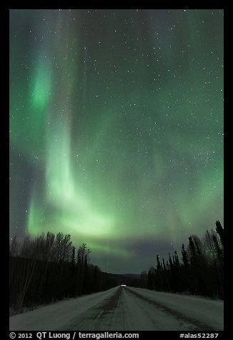 Road with northern lights above. Alaska, USA (color)