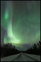 Road with northern lights above. Alaska, USA ( color)