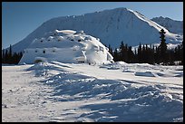 Winter landscape with igloo-shaped building. Alaska, USA (color)