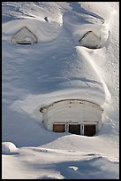 Windows on snow-covered roof. Alaska, USA