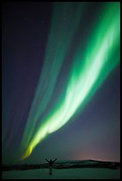 Aurora Borealis streaming above person with outstretched arms. Alaska, USA