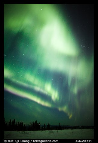 Solar Storm in sky above snowy meadow. Alaska, USA