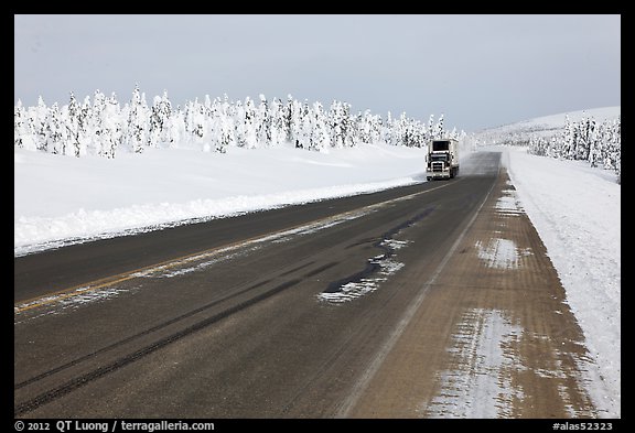 Dalton Highway bordered by snow-covered trees. Alaska, USA (color)