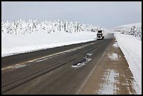 Dalton Highway bordered by snow-covered trees. Alaska, USA (color)