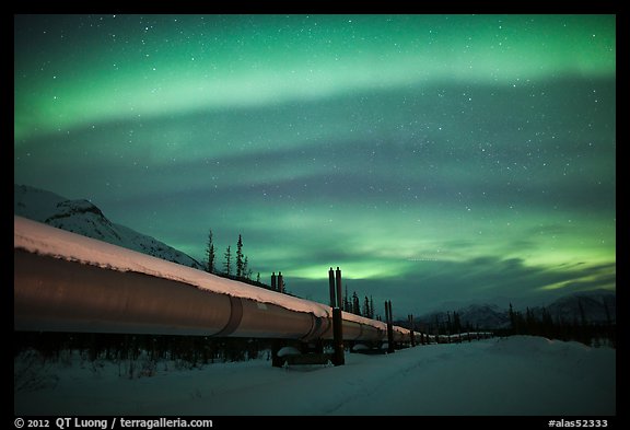 Trans Alaska Oil Pipeline at night with Northern Lights. Alaska, USA (color)