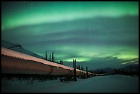 Trans Alaska Oil Pipeline at night with Northern Lights. Alaska, USA ( color)