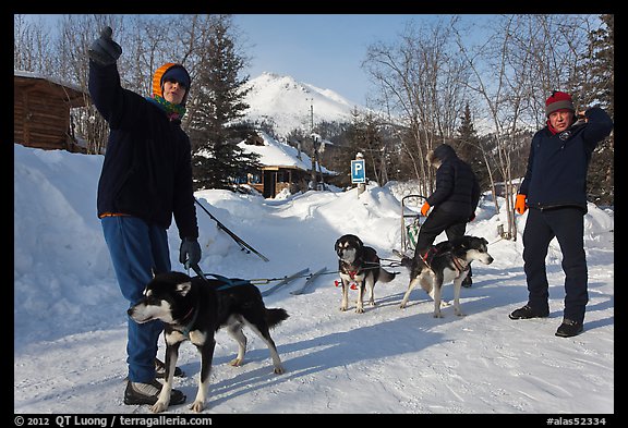 Residents preparing dog sled. Wiseman, Alaska, USA (color)