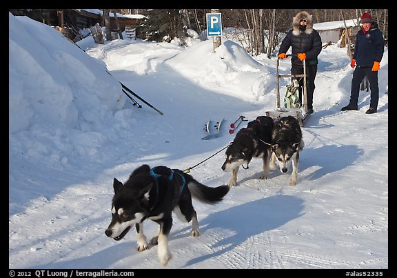 Dog mushing from parking lot. Wiseman, Alaska, USA (color)