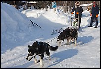 Dog mushing from parking lot. Wiseman, Alaska, USA