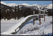 Trans Alaska Oil Pipeline in winter. Alaska, USA (color)