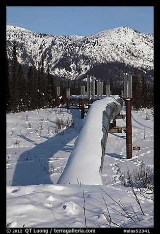 Snow-covered Alaska Oil Pipeline. Alaska, USA (color)