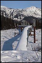 Snow-covered Alaska Oil Pipeline. Alaska, USA