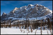 Mount Sukakpak in winter. Alaska, USA ( color)