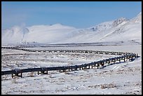 Alyeska Pipeline snaking to the North Slope in winter. Alaska, USA (color)