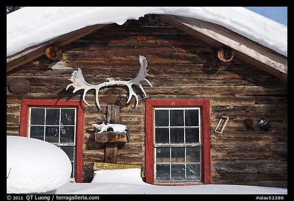 Log cabin facade with antlers. Wiseman, Alaska, USA (color)