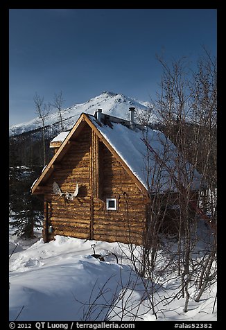 Log cabin in winter. Wiseman, Alaska, USA