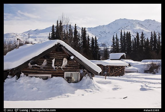 Heavily snow-covered cabins in winter. Wiseman, Alaska, USA