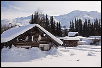 Heavily snow-covered cabins in winter. Wiseman, Alaska, USA