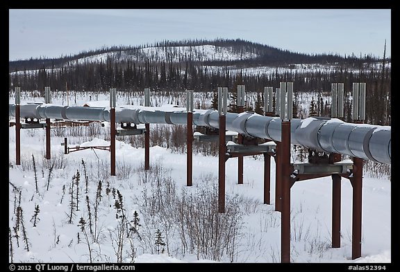 Trans Alaska Pipeline in winter. Alaska, USA (color)