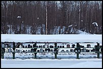 Mailboxes. Alaska, USA (color)