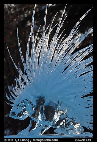 Detail of prize-winning porcupine ice sculpture, 2012 Ice Alaska. Fairbanks, Alaska, USA