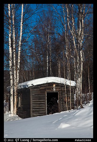 Historic cabin in winter, Chatanika. Alaska, USA (color)