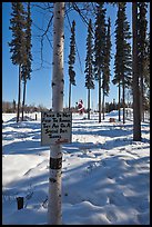 Surroundings of Santa Claus House in winter. North Pole, Alaska, USA (color)