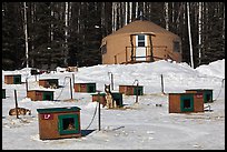 Doghouses and yurt tent. North Pole, Alaska, USA