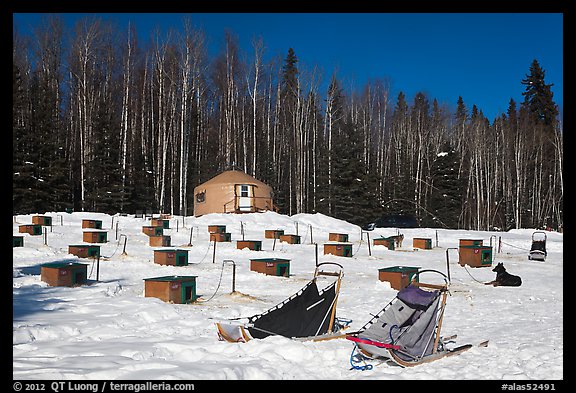 Sleds and kennel at mushing camp. North Pole, Alaska, USA