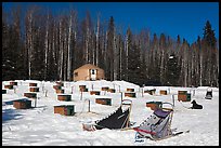 Sleds and kennel at mushing camp. North Pole, Alaska, USA (color)