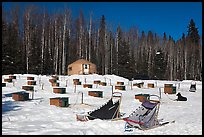 Sleds and kennel at mushing camp. North Pole, Alaska, USA