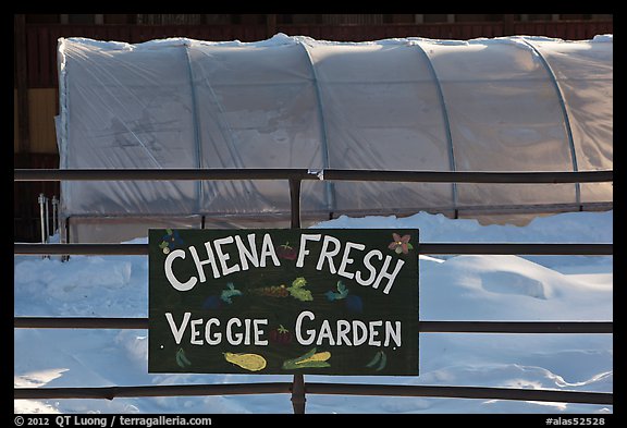 Greehouse used for vegetable production. Chena Hot Springs, Alaska, USA (color)