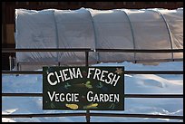 Greehouse used for vegetable production. Chena Hot Springs, Alaska, USA