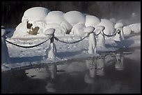 Frozen fence and snow-covered rocks. Chena Hot Springs, Alaska, USA ( color)