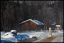 Woman with winter coat walking on path to cabins. Chena Hot Springs, Alaska, USA