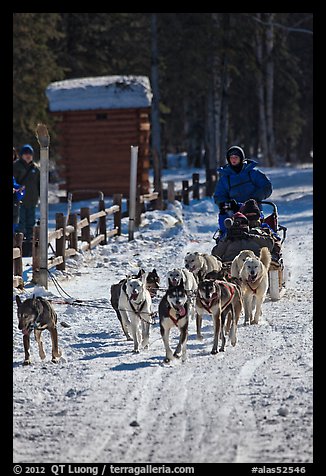 Recreational dog sledding. Chena Hot Springs, Alaska, USA