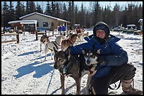 Woman dog musher posing with dog team. Chena Hot Springs, Alaska, USA ( color)