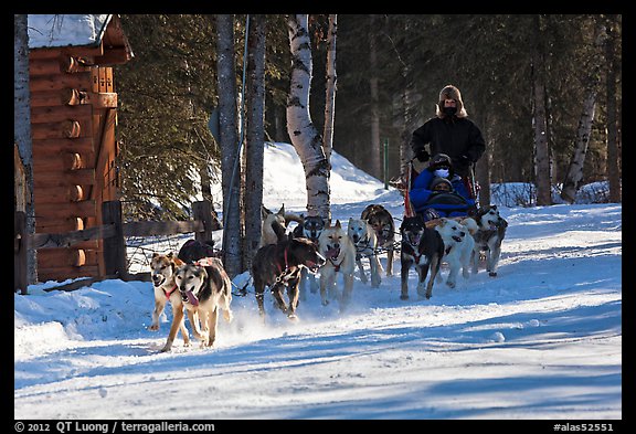 Dog mushing. Chena Hot Springs, Alaska, USA (color)