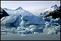 Portage Lake, with icebergs and mountain reflections. Alaska, USA (color)