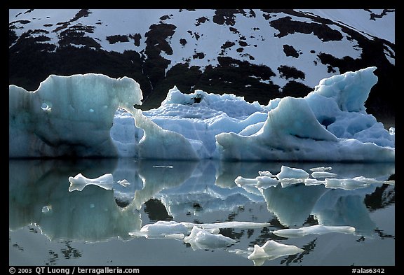 Icebergs and reflections, Portage Lake. Alaska, USA (color)