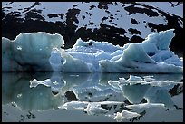 Icebergs and reflections, Portage Lake. Alaska, USA ( color)