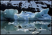 Icebergs and reflections, Portage Lake. Alaska, USA (color)