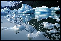 Icebergs and mountain reflections, Portage Lake. Alaska, USA (color)