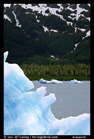 Blue iceberg and Portage Lake. Alaska, USA