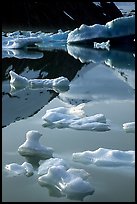 Floating ice and mountain reflections, Portage Lake. Alaska, USA ( color)