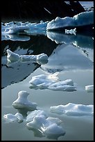 Floating ice and mountain reflections, Portage Lake. Alaska, USA