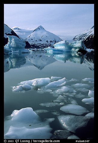 Floating ice in Portage Lake with mountain reflections. Alaska, USA (color)